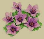 nunavut's flower